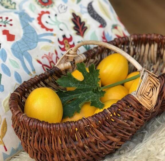 مبيت وإفطار Rejaillir