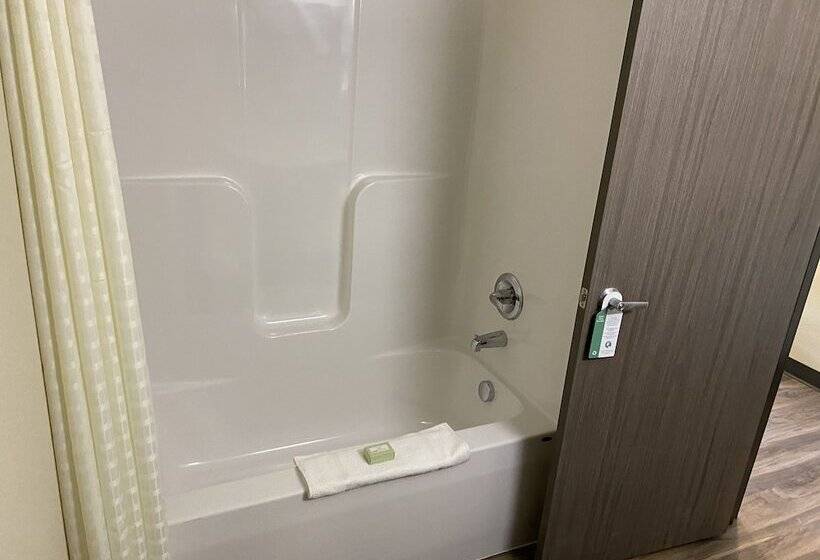 Otel Cobblestone Inn & Suites Forest City