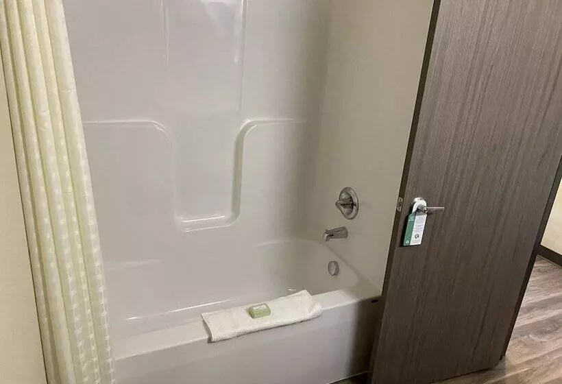 Hotelli Cobblestone Inn & Suites  Forest City