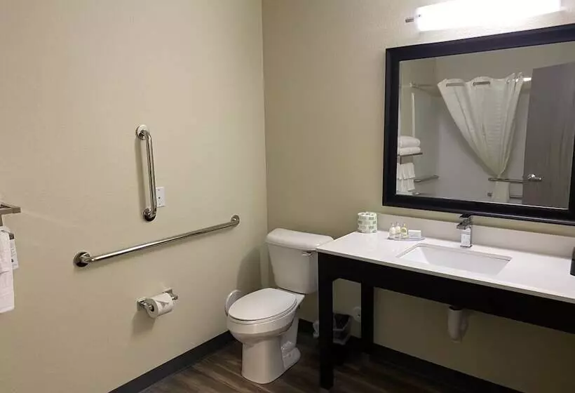 Hotelli Cobblestone Inn & Suites  Forest City