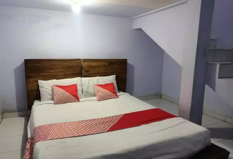 Hôtel Ibma Smart