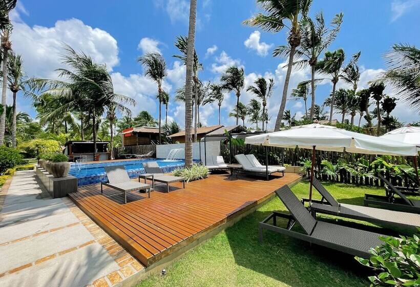 Pension Wassu Pousada