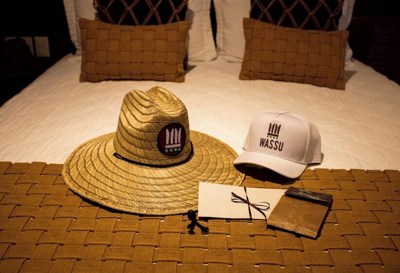 Pension Wassu Pousada