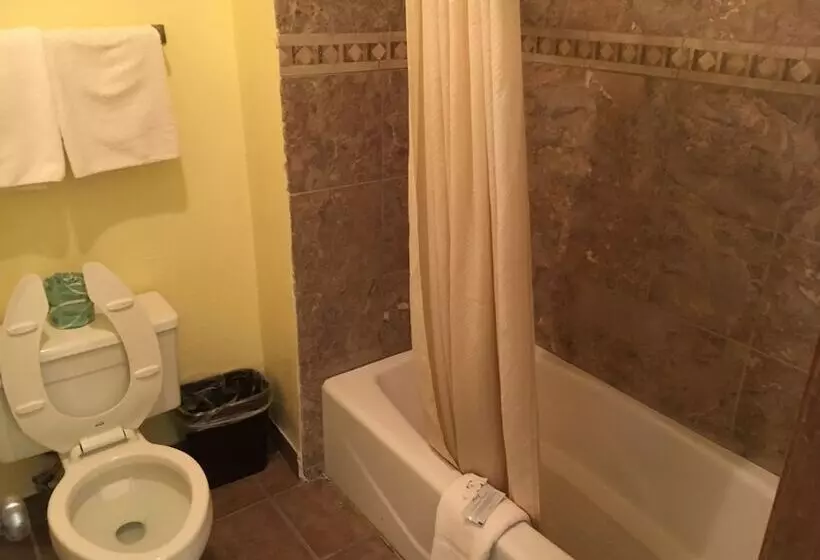 Отель Executive Inn Odessa