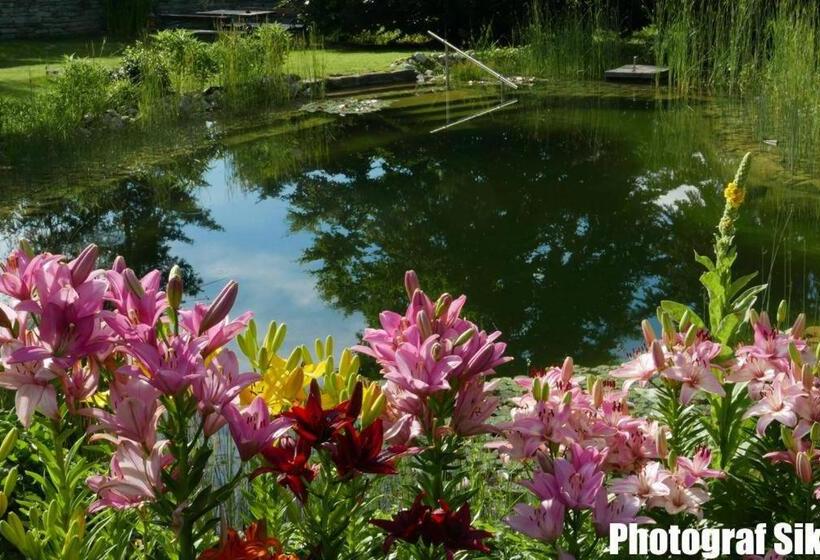 Aamiaismajoitus (B&B) Gästehaus Pointner