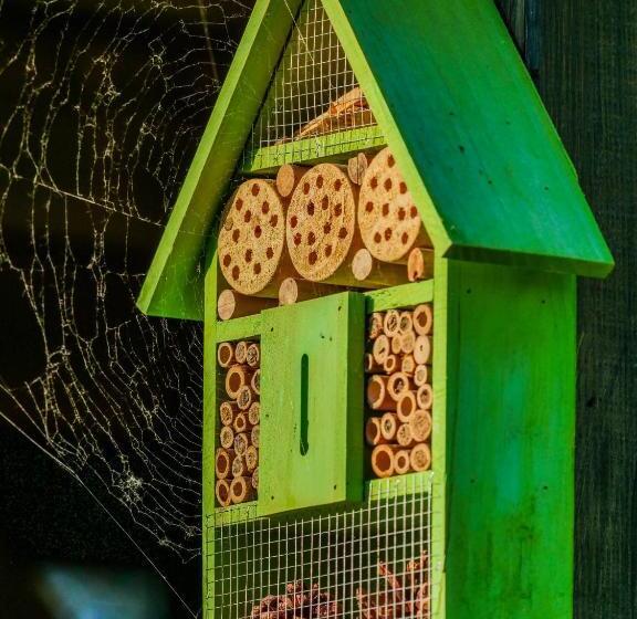 Aamiaismajoitus (B&B) Gästehaus Pointner