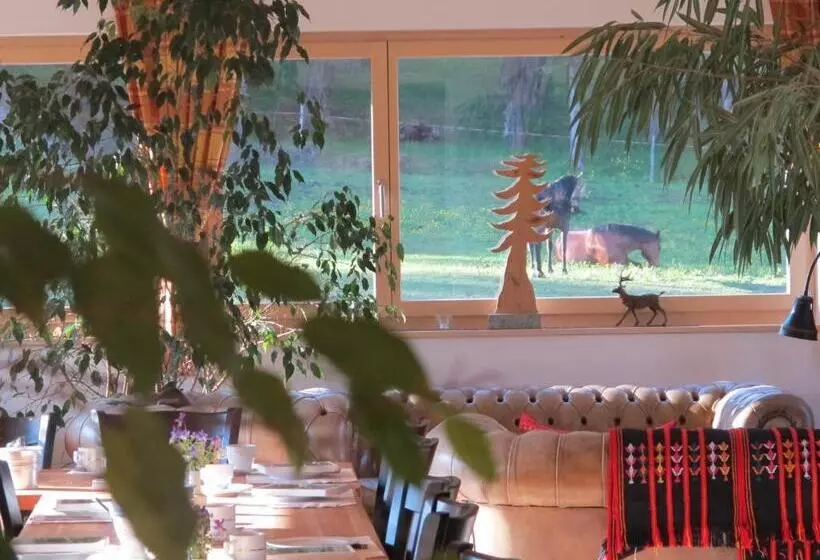 هتل Reitstall Und Saloon San Jon