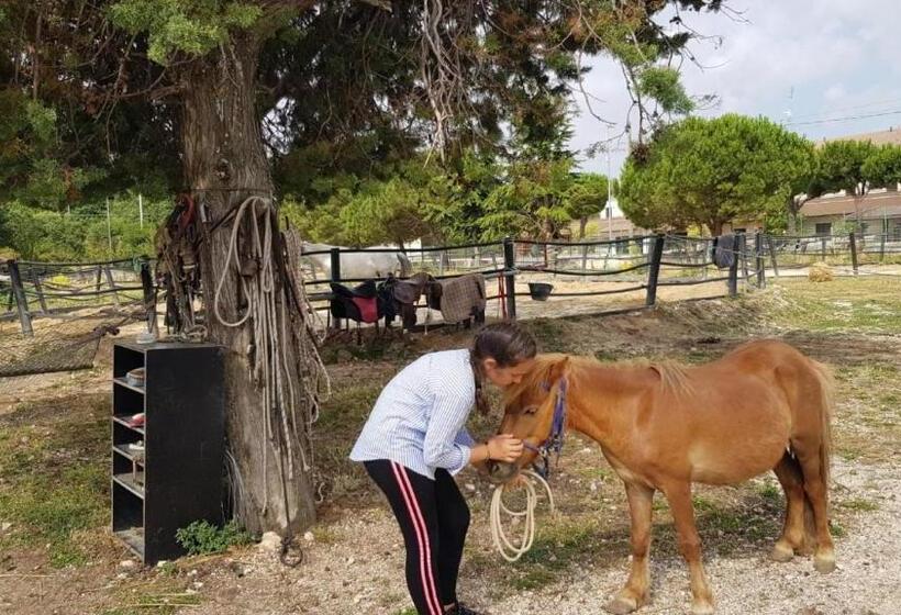 B&b Home Sweet Home   Affitti Brevi Italia