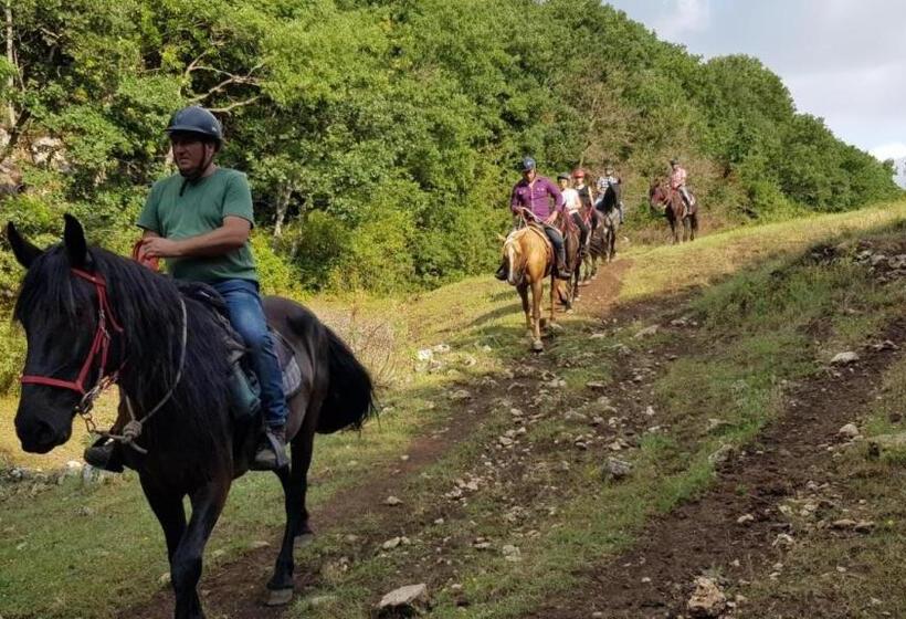 B&b Home Sweet Home   Affitti Brevi Italia