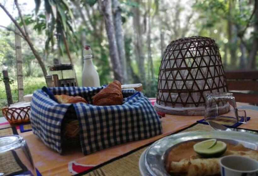 住宿加早餐  La Maison Des Bambous Lmdbsr