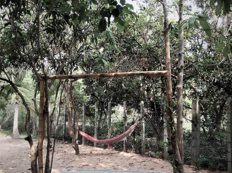 住宿加早餐  La Maison Des Bambous Lmdbsr