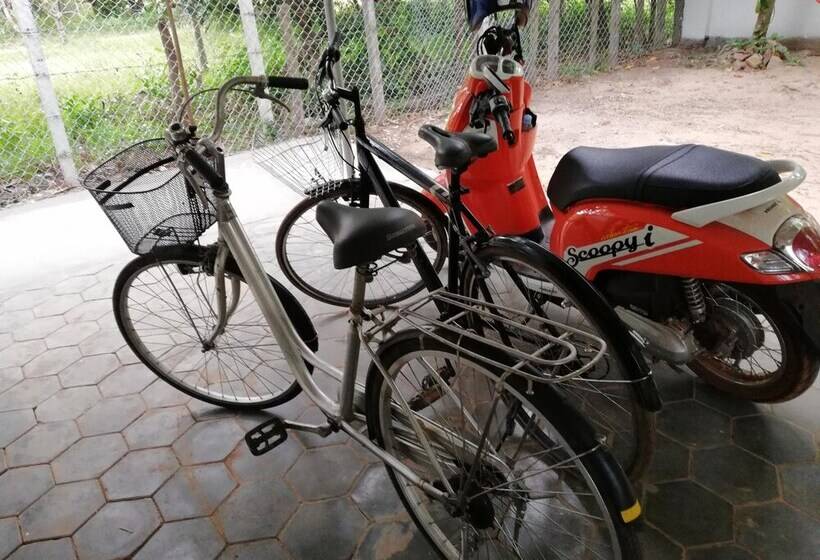 住宿加早餐  La Maison Des Bambous Lmdbsr