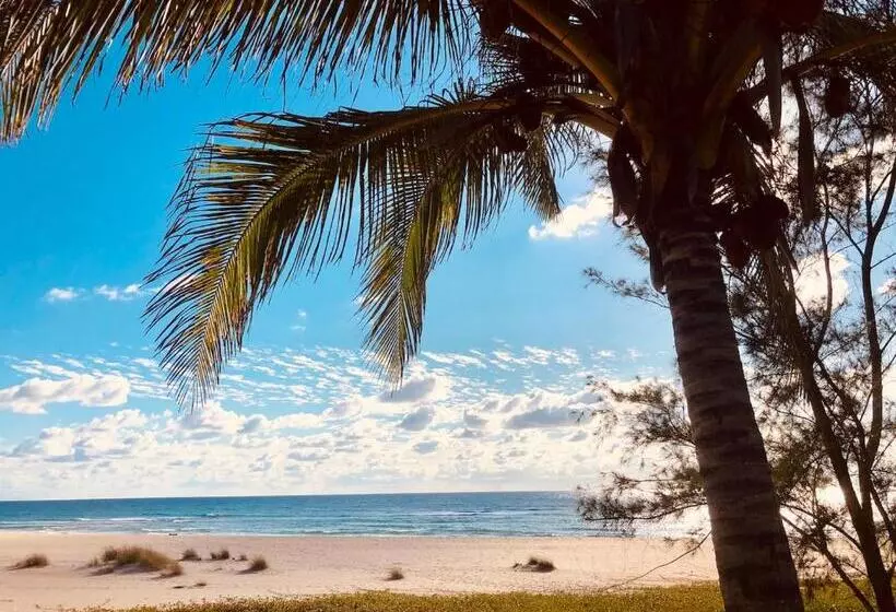 Aamiaismajoitus (B&B) Liquid Dive Adventures