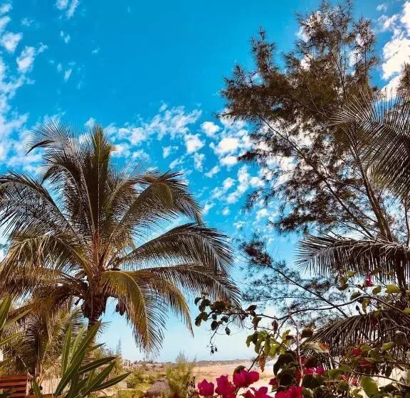 Aamiaismajoitus (B&B) Liquid Dive Adventures