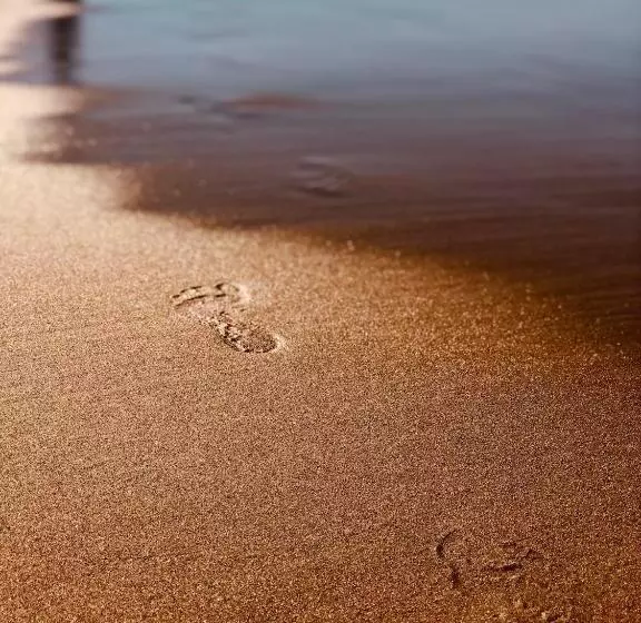 Aamiaismajoitus (B&B) Liquid Dive Adventures