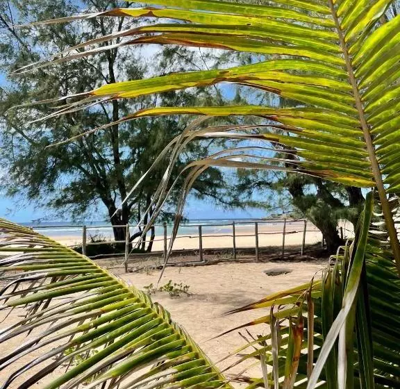 Aamiaismajoitus (B&B) Liquid Dive Adventures