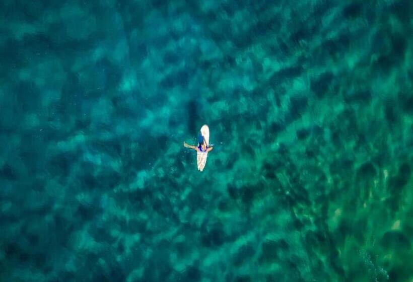 Bed and Breakfast Liquid Dive Adventures