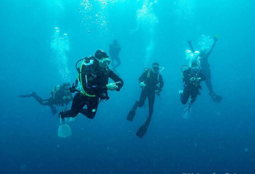 Bed and Breakfast Liquid Dive Adventures