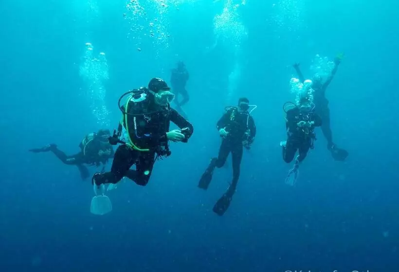 Aamiaismajoitus (B&B) Liquid Dive Adventures