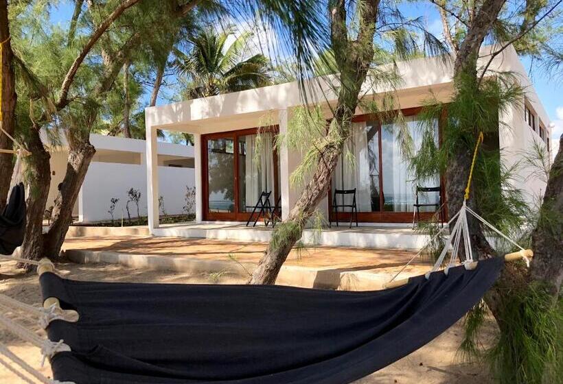 Bed and Breakfast Liquid Dive Adventures