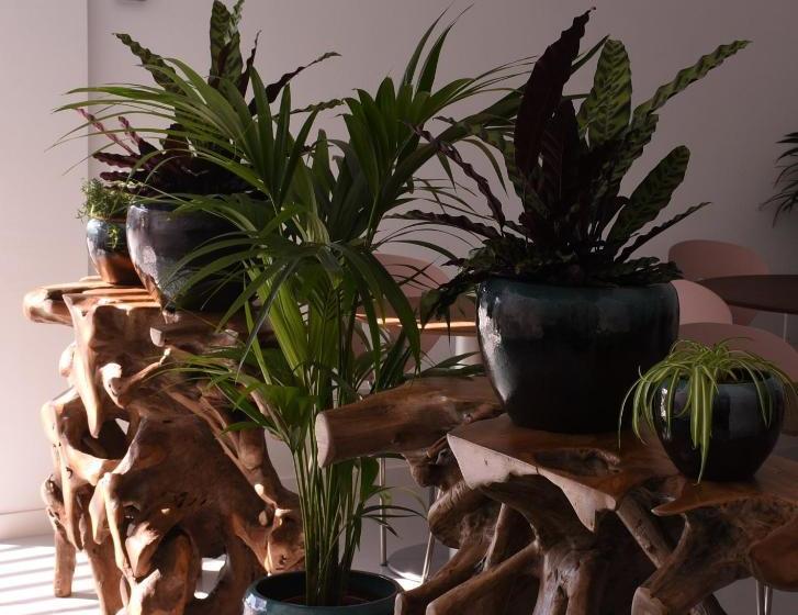 مبيت وإفطار Mana Ecoretreat