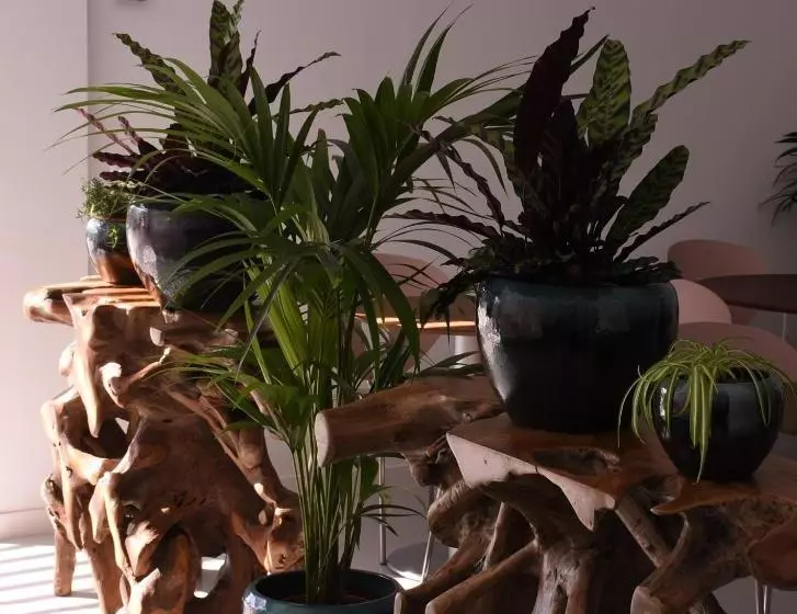 ベッドアンドブレックファースト Mana Ecoretreat