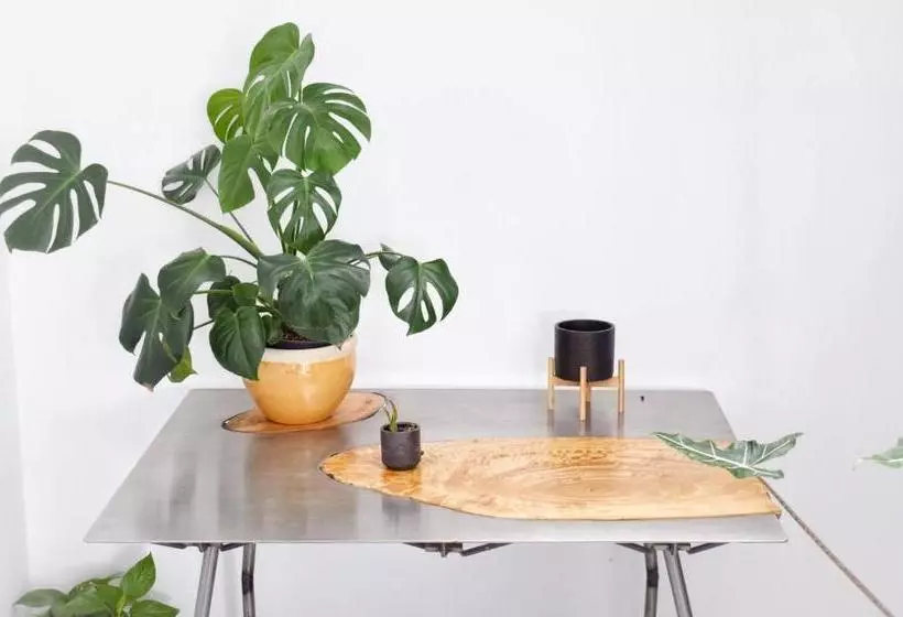 ベッドアンドブレックファースト Mana Ecoretreat