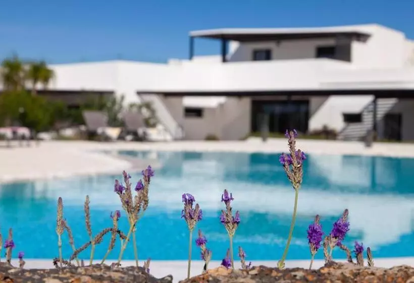 ベッドアンドブレックファースト Mana Ecoretreat