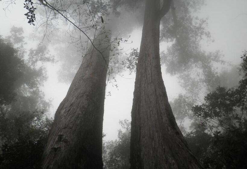 هتل Alishan Minyue