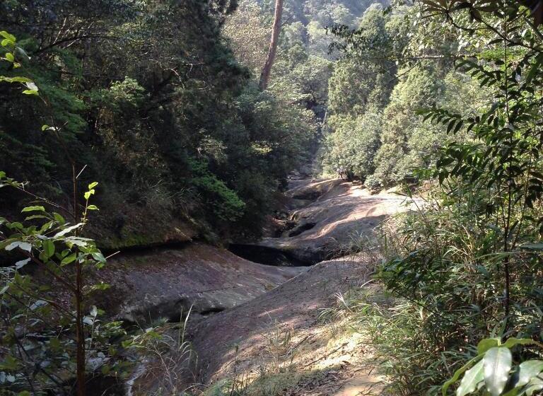 هتل Alishan Minyue