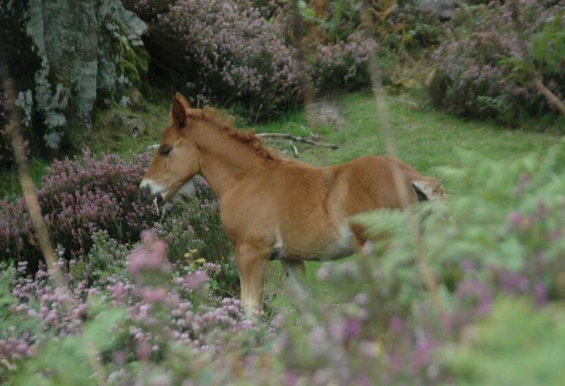 Bed and Breakfast Posada El Mirador