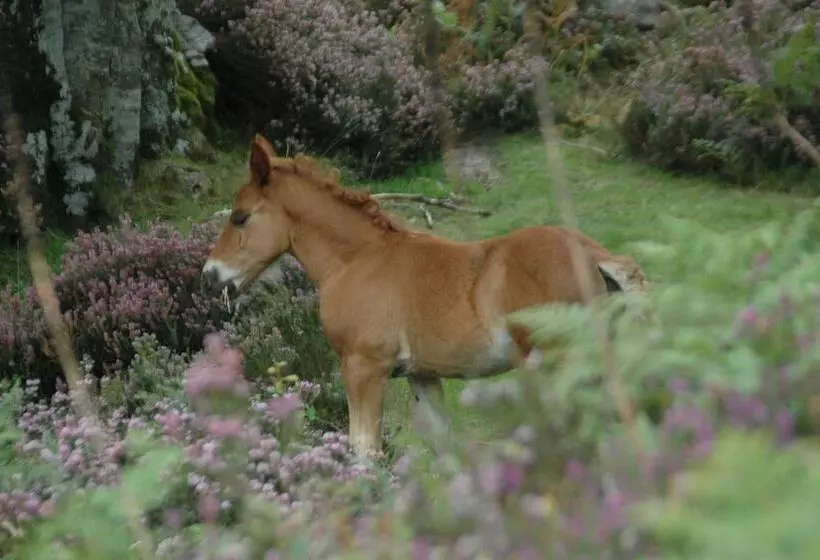 Aamiaismajoitus (B&B) Posada El Mirador