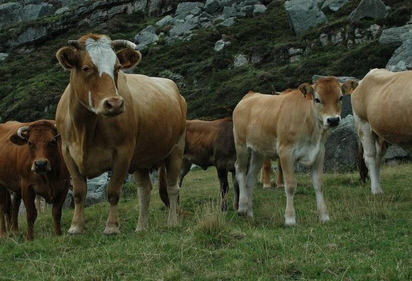 مبيت وإفطار Posada El Mirador