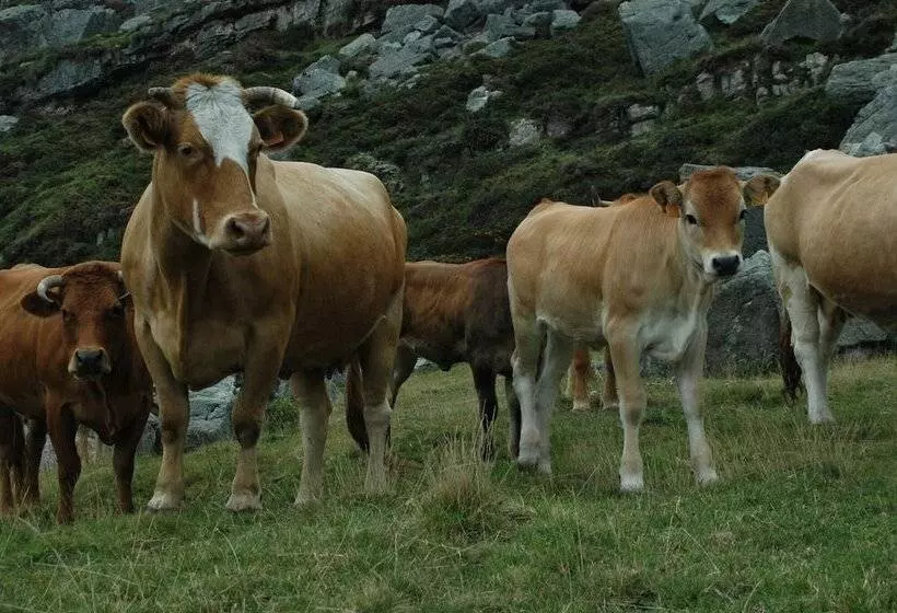 Aamiaismajoitus (B&B) Posada El Mirador