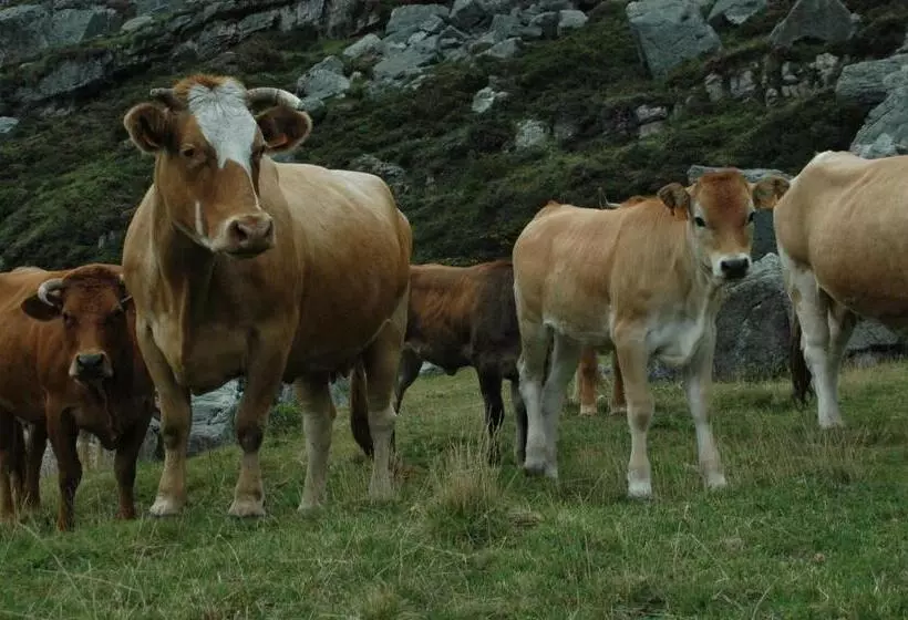 Aamiaismajoitus (B&B) Posada El Mirador