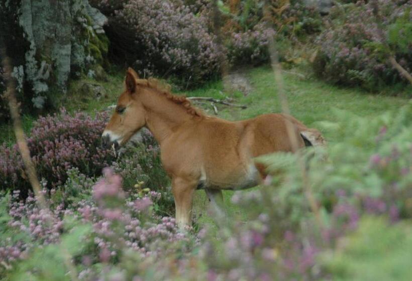 مبيت وإفطار Posada El Mirador