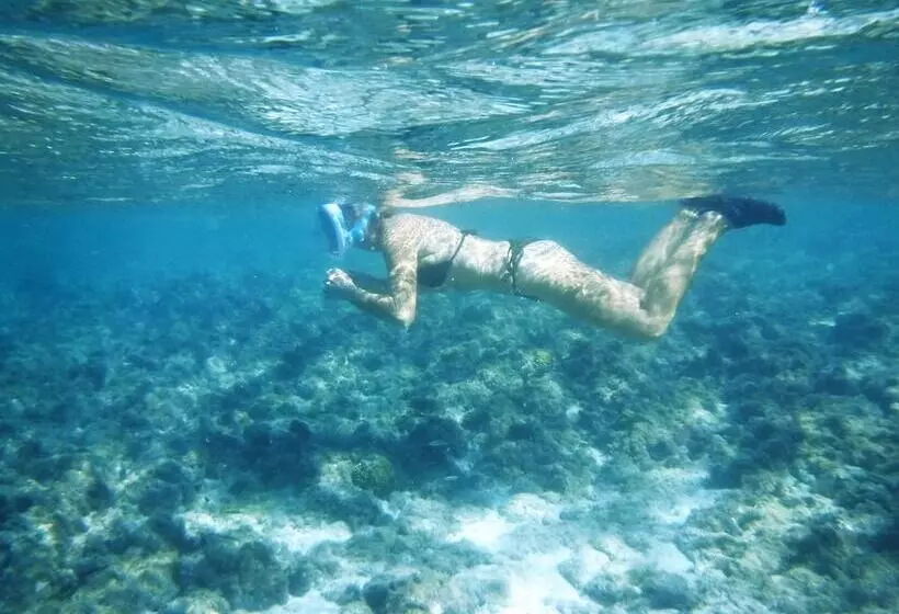 پانسیون Varadero Marina Airport Guests Rooms