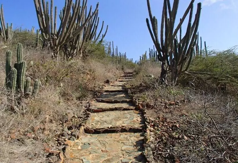 پانسیون Varadero Marina Airport Guests Rooms