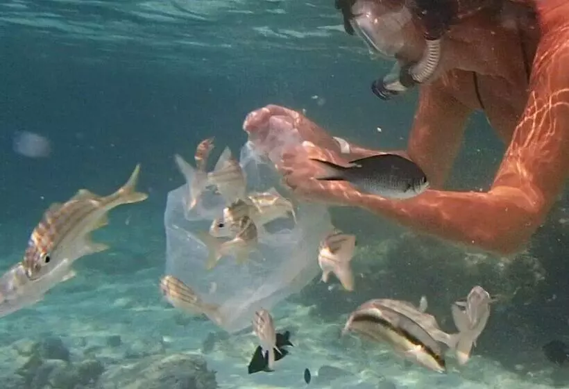 پانسیون Varadero Marina Airport Guests Rooms