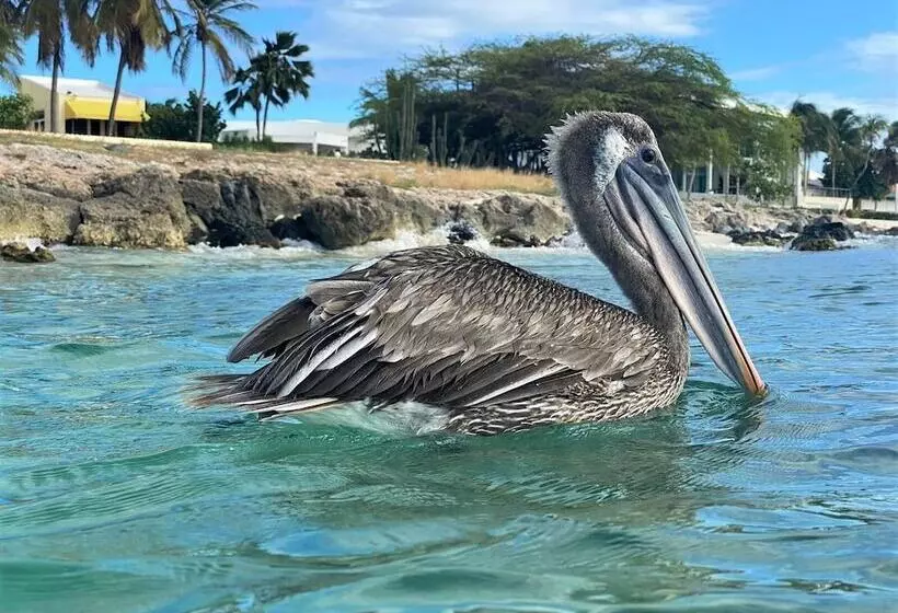 پانسیون Varadero Marina Airport Guests Rooms