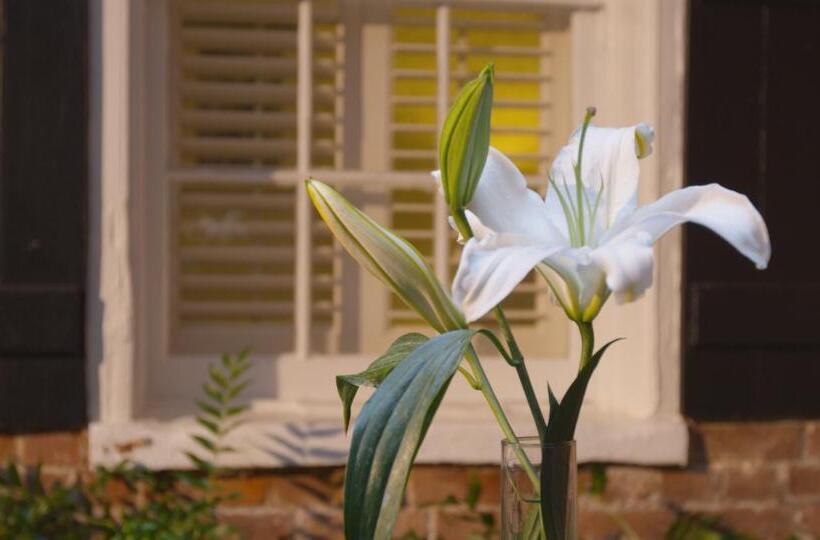 فندق Royal Residence