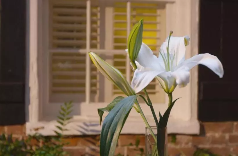 Отель Royal Residence