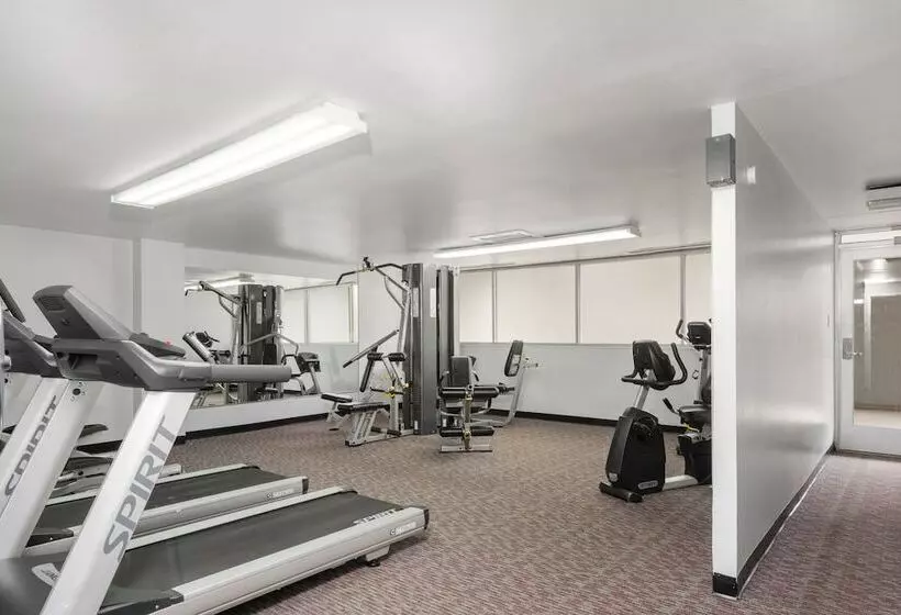 בית מלון כפרי Satellite