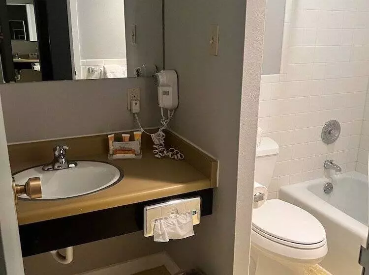 בית מלון כפרי Satellite