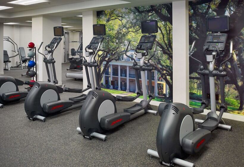 فندق The Royal Sonesta New Orleans