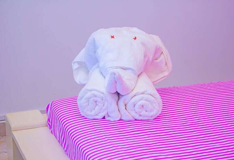 پانسیون Cambria