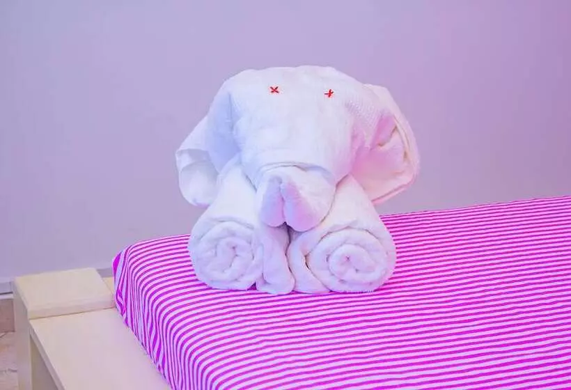 پانسیون Cambria