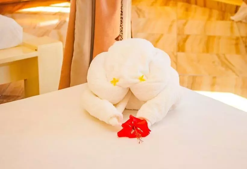 پانسیون Cambria