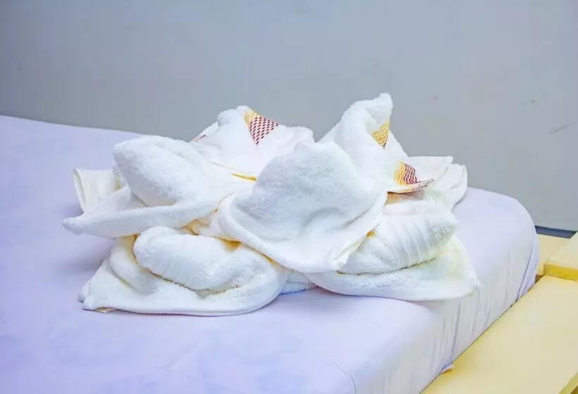 پانسیون Cambria