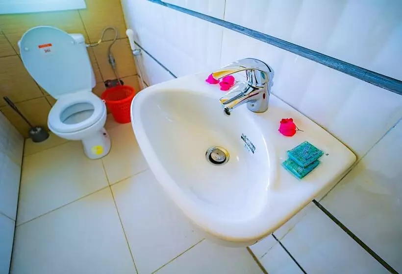 پانسیون Cambria